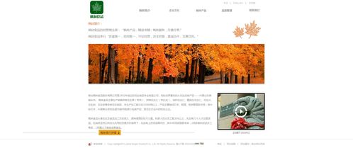 烟台枫林食品 一站式整合酒水、农资与食品的线上平台网站设计